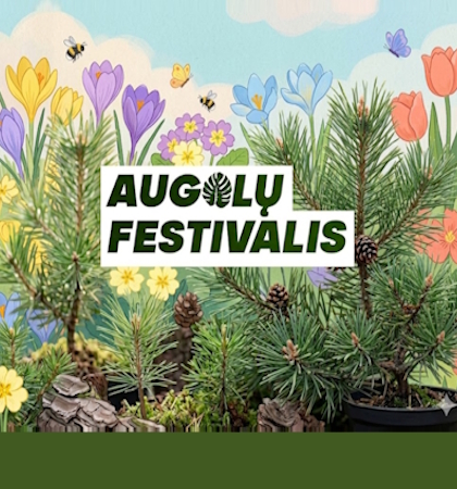 Augalų festivalis